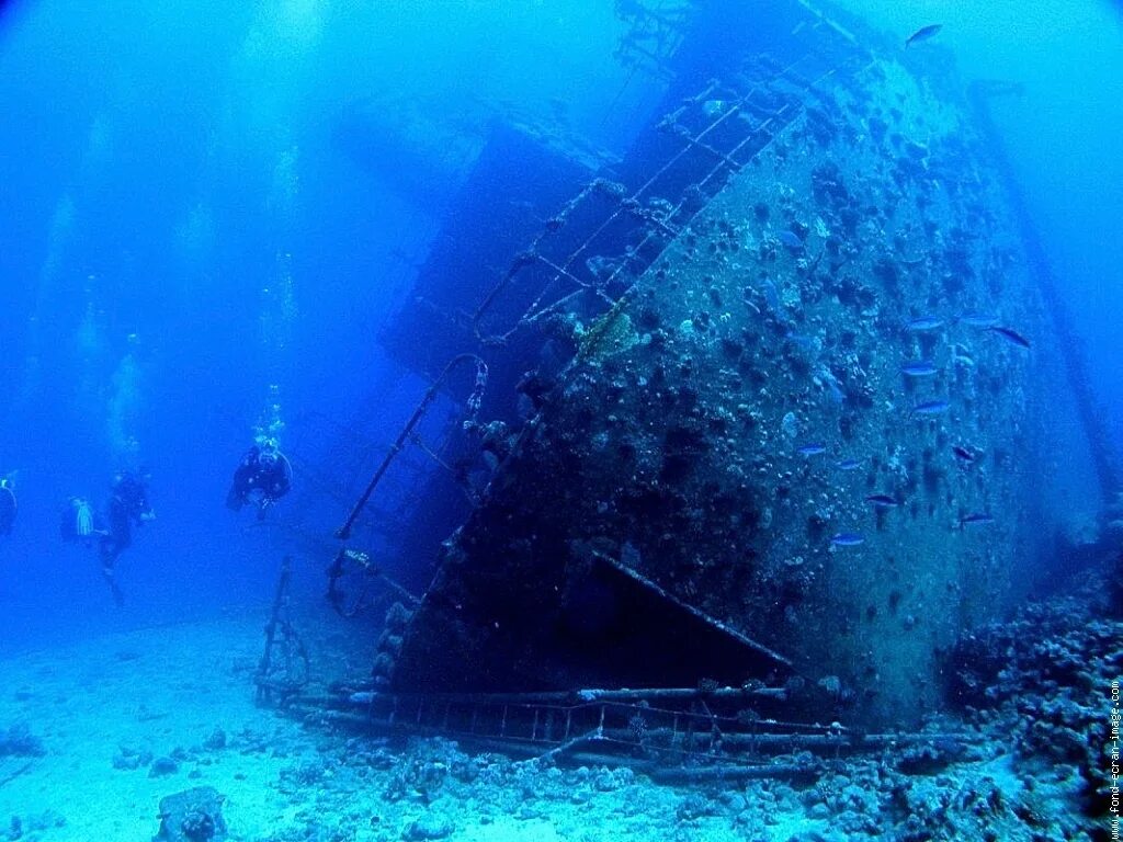 дайвинг в феодосии затонувший корабль. паром зенобия кипр. саргассово море кладбище кораблей. затонувшие древние корабли. корабль ss thistlegorm, красное море.