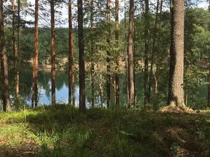 Озеро светлое нижегородская область