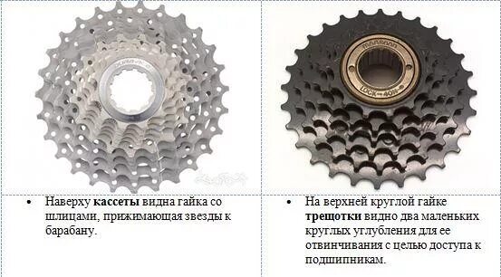 Чем отличаются кассеты. Различие трещетки и кассеты. Кассета трещетка разница. Отличия кассеты от трещотки для велосипеда. Кассета и трещетка на велосипеде.