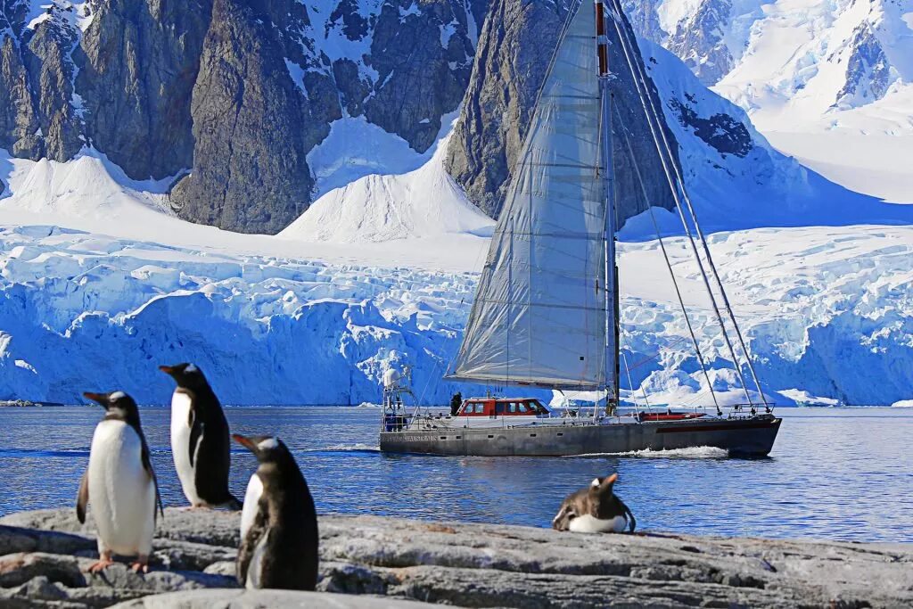Антарктида путешествие цена. Ушуайя Антарктида. Ушуайя пингвины. Ушуайя тур в Антарктиду. Ушуайя экскурсии в Антарктиду.