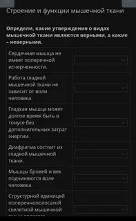 Определите какие утверждения являются верными