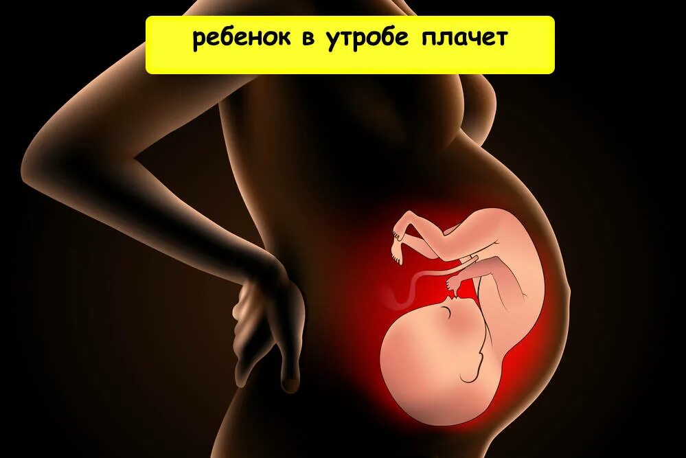 Эмбрион животного в утробе. 7 смертных грехов коты. Ненасытная утроба. Малыш в утробе матери. Ненасытная утроба.