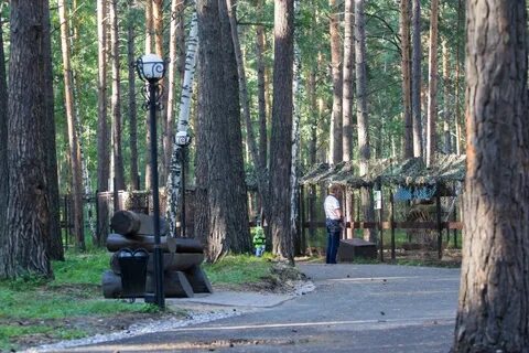 Найдено бердск