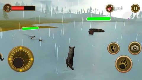 Игра дикие коты