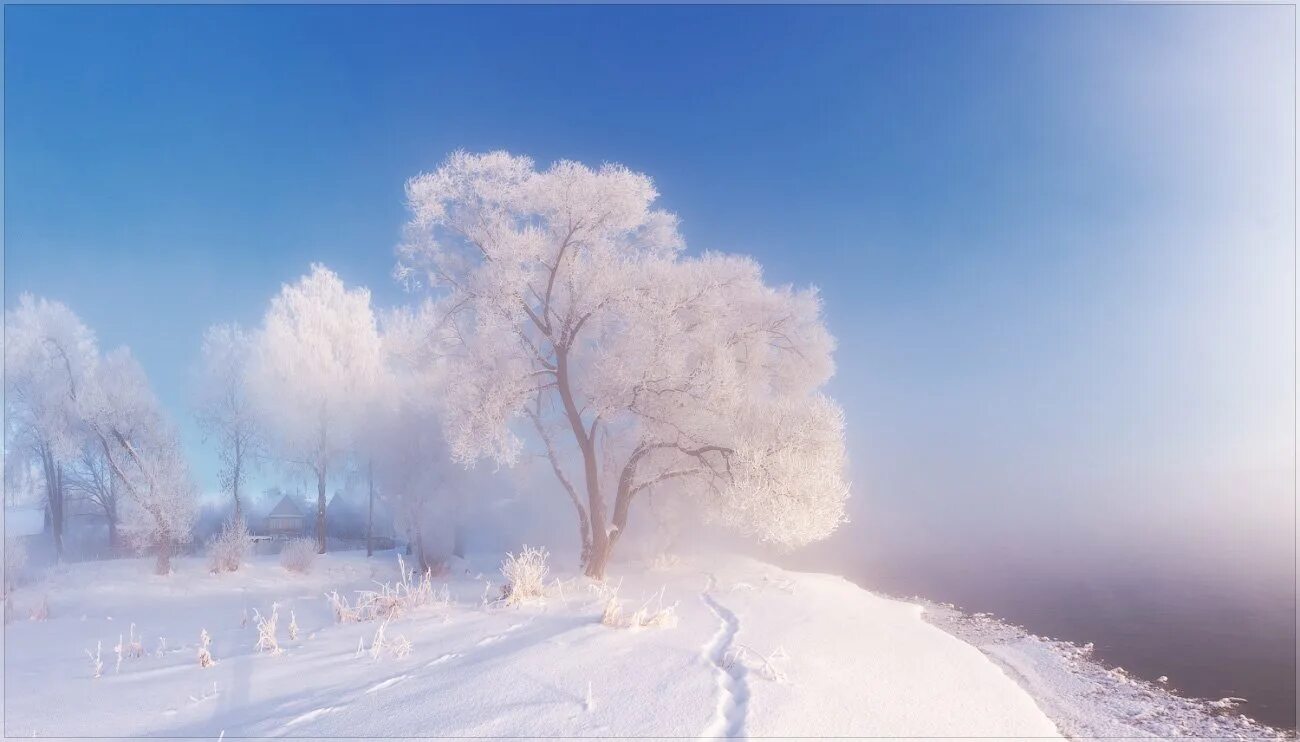 Зимнее утро. Утро зима. Морозный пейзаж. Февральский пейзаж.
