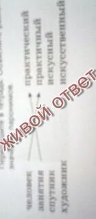 Разбор слова львиный