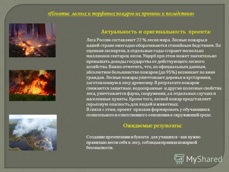 последствия лесных и торфяных пожаров. причины и последствия лесных и торфяных пожаров. последствия лесных и торфяных пожаров. последствия и предупреждение лесных и торфяных пожаров. последствия лесных пожаров.