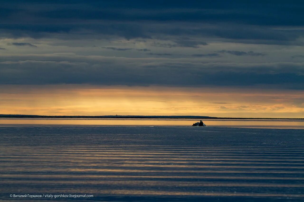 Море лаптевый. Море лаптевых. хатангский залив моря лаптевых. море таймыр. река хатанга.