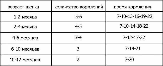 График времени прогулок. График кормления щенка 2 месяца. Сколько раз в день кормить щенка в 4 месяца. Сколько раз в день нужно кормить щенка 2.5 месяца. График кормления щенка 1 месяц.