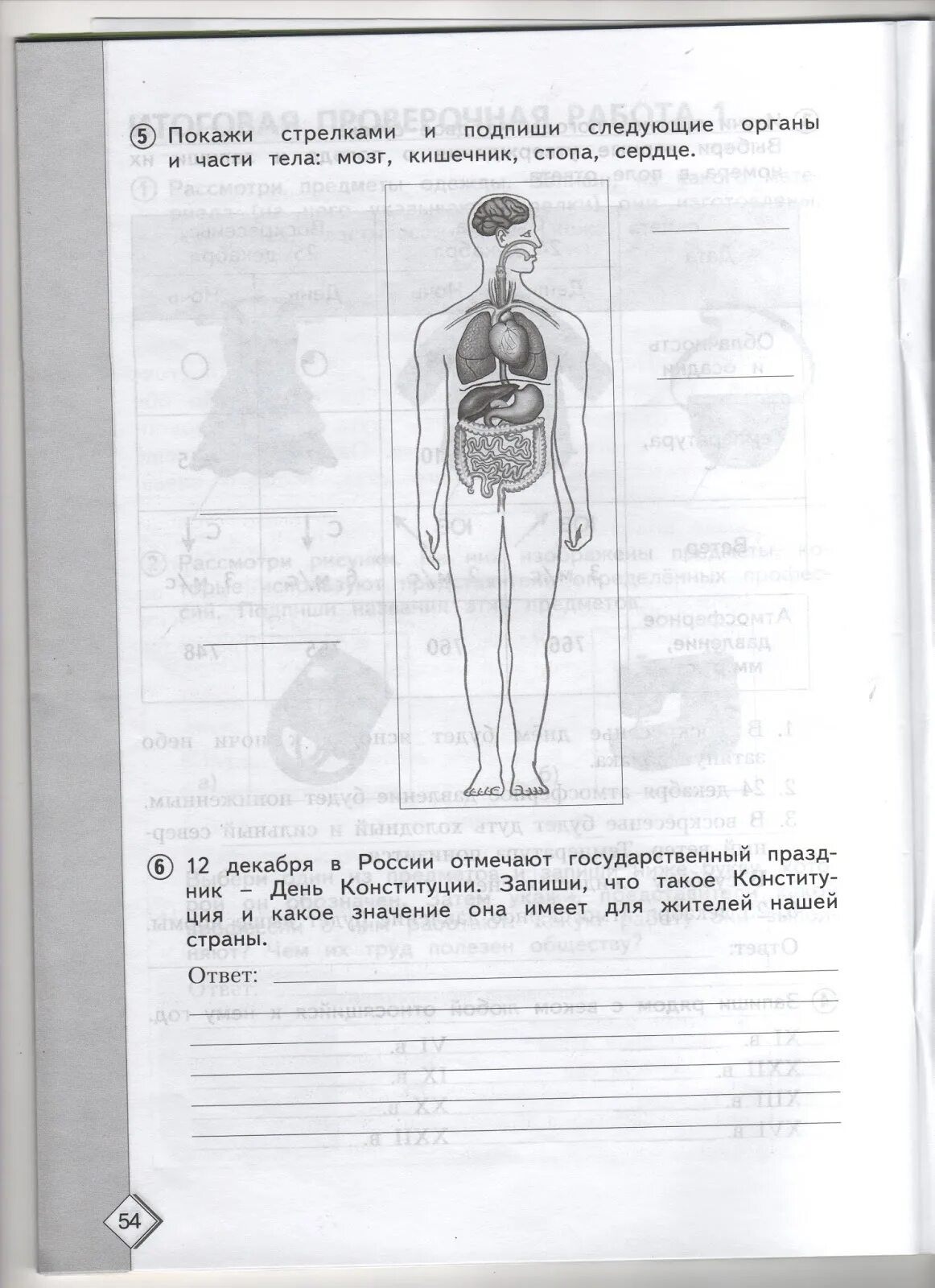 Тест по окр миру впр 4 класс. Строение тела человека подготовка к ВПР 4 класс. Тело человека органы 4 класс ВПР. Строение человека ВПР 4. ВПР окр мир тело человека.