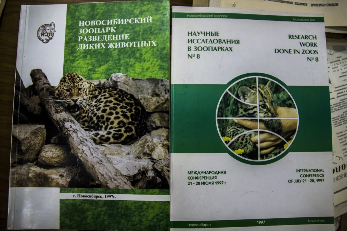 Работа в зоопарке с животными