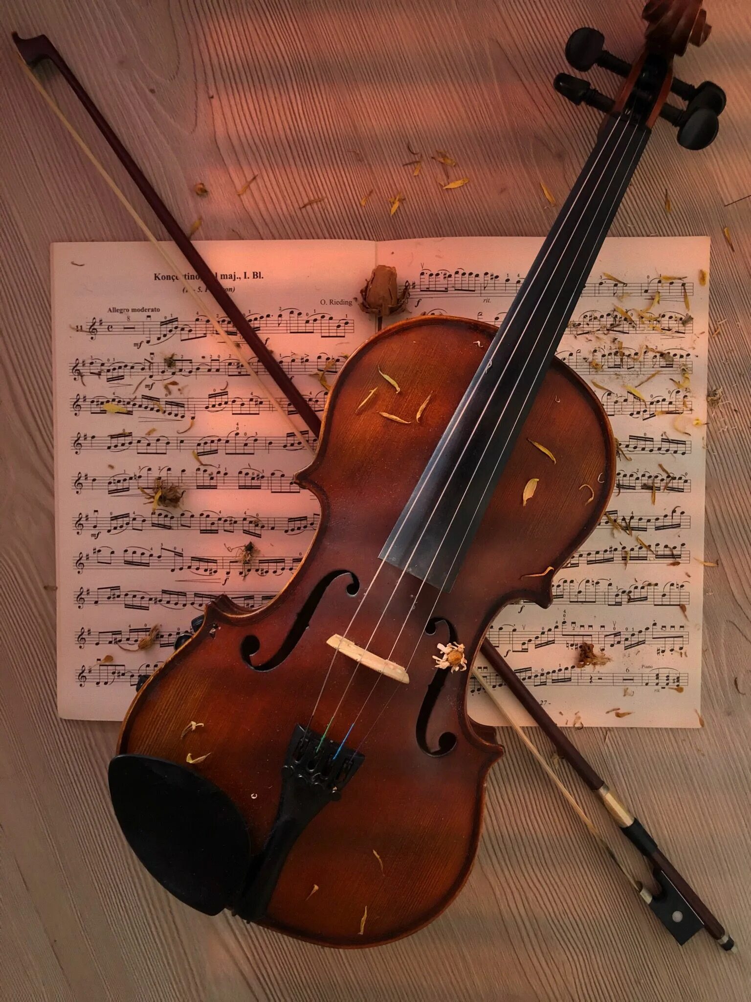 Violin last. Скрипка. Скрипка Эстетика. Скрипка фото. Скрипка коллаж.