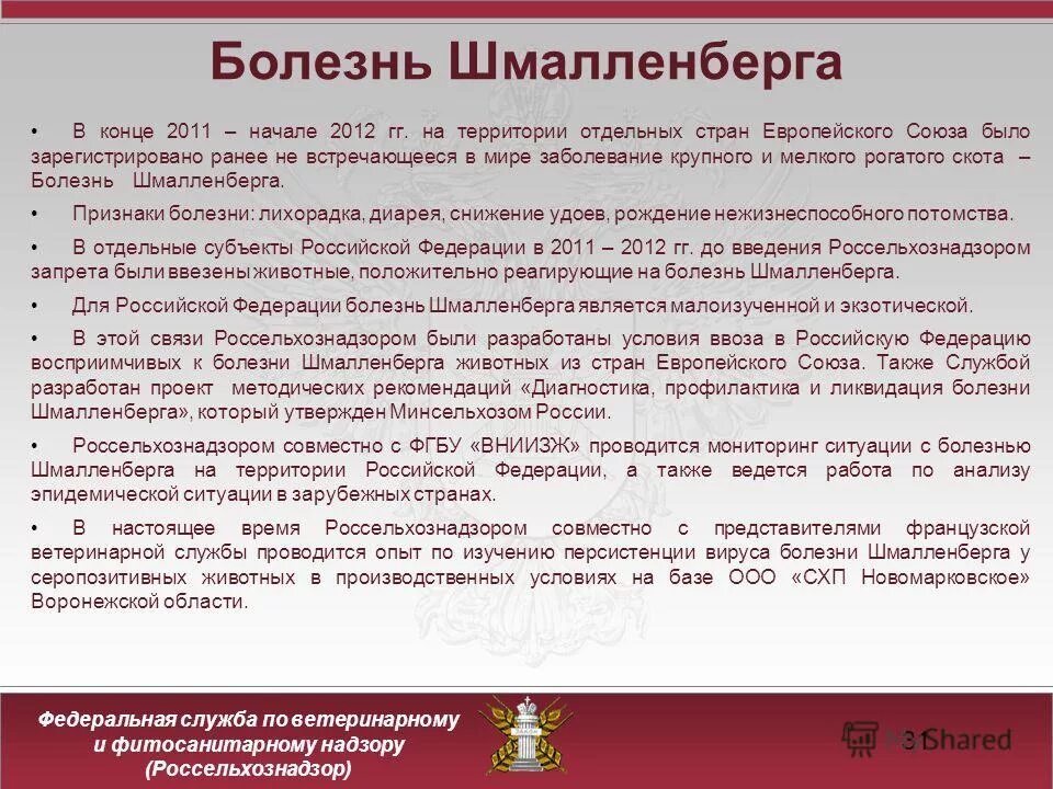 положение о региональном надзоре