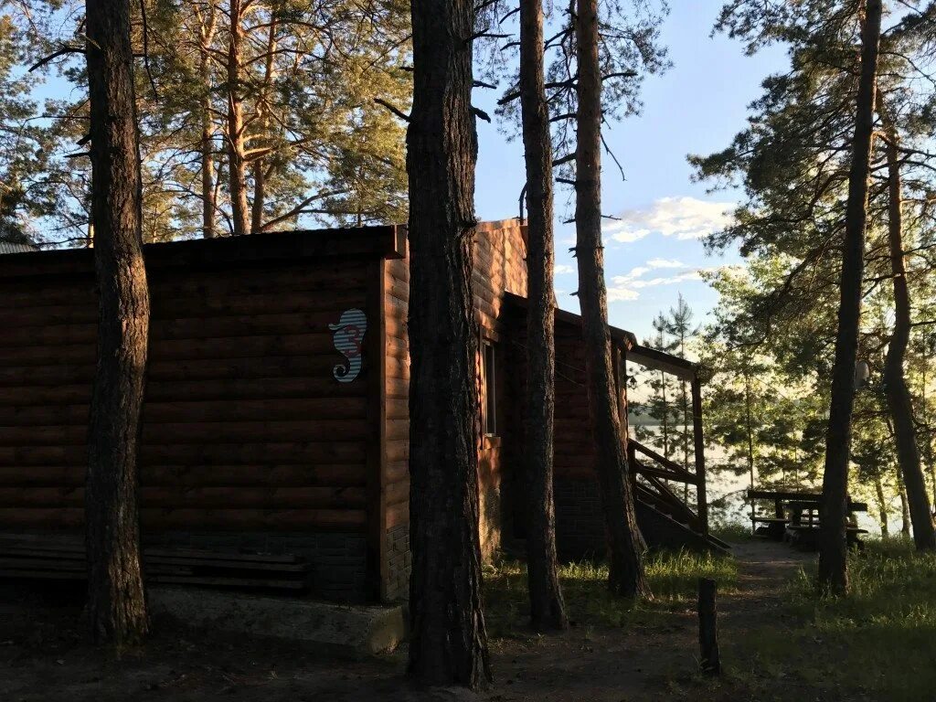 Турбаза Ромашка Муранка. Турбаза медик Муранка. Турбаза Ромашка Шигонский район. База отдыха Ромашка Муранский Бор. Муранка самарская область шигонский район