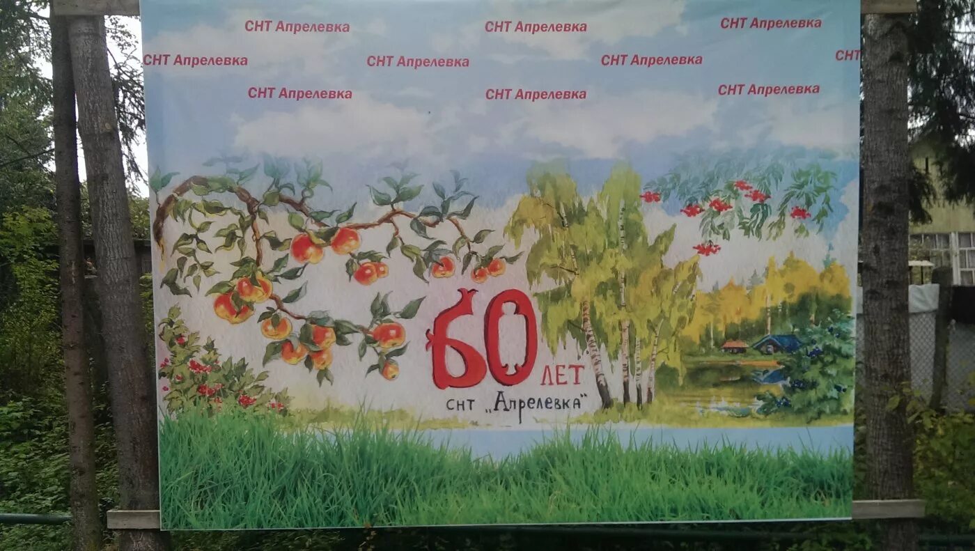 Снт динамо 3 апрелевка участок 105. Снт машиностроитель апрелевка. Апрелевка дача. Участки в апрелевке. Снт победа апрелевка.