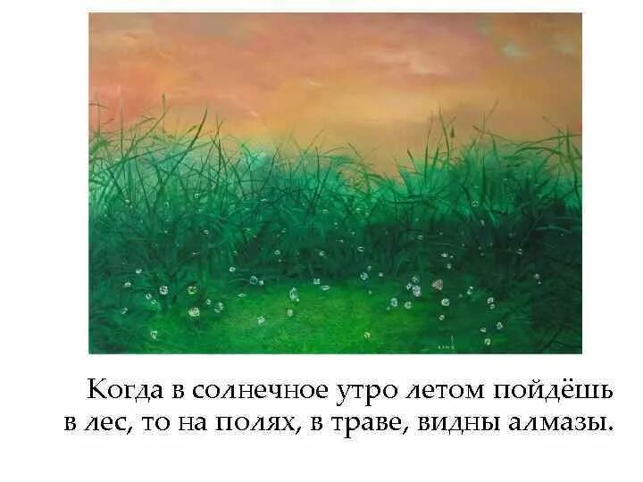 Какая бывает роса на траве рисунок. Когда в солнечное утро пойдешь. Когда в солнечное утро летом пойдешь в лес то. Какая бывает роса на траве толстой.