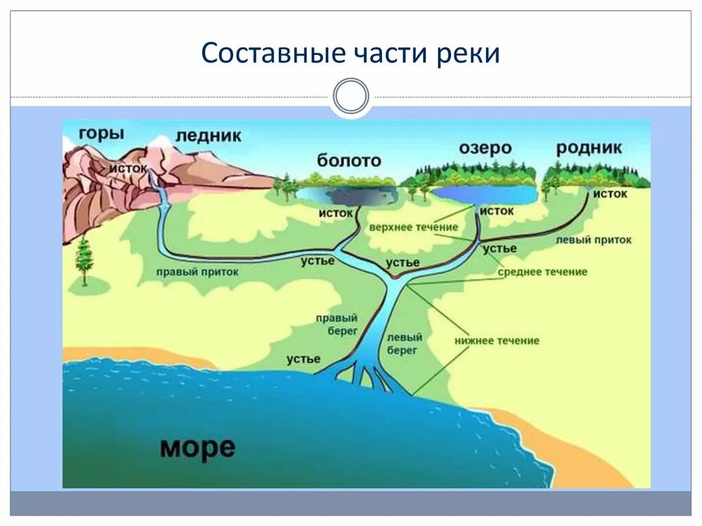 Куда впадает река. Название частей реки. Строение реки. Составные части реки. Движение воды в озерах