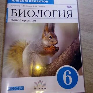 Биология 6 класс рабочая программа 2023 2024