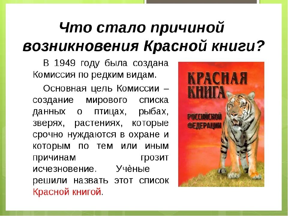 Проект 4 класс красная книга нашего края. Проект по окружающему миру 4 класс на тему красная книга России. Проект на тему красная книга России 4 класс окружающий мир. Проект по окружающему миру 4 класс по теме красная книга России. Окружающий мир проект красная книга России четвёртый класс.