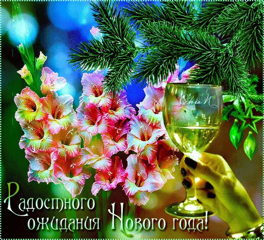 Доброго здоровья и хорошего зимнего настроения. Пожелания здоровья и всех благ. Отличного настроения земной. Счастья в новом году. Всего доброго в наступающем дне.