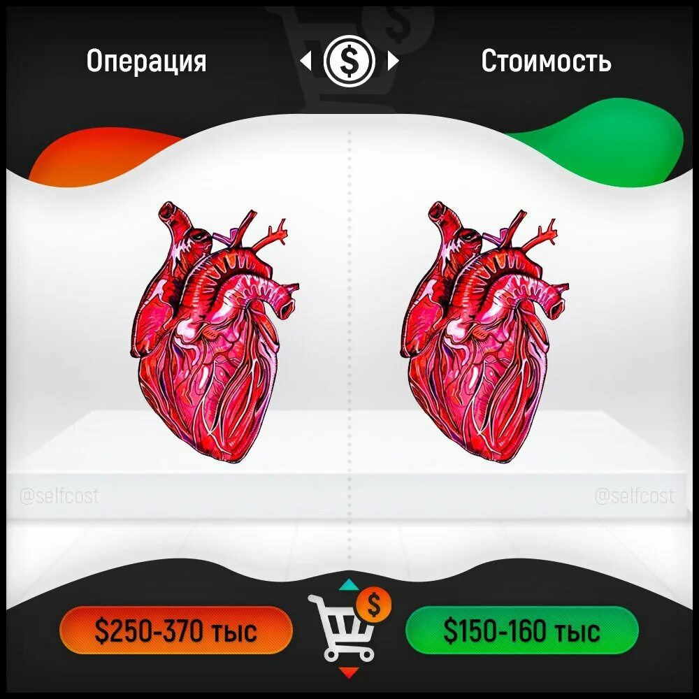 Насколько сердце. Сколько стоит сердце человека. Сколько стоит человеческое сердце. Сколькостоитчеловечесское серц.