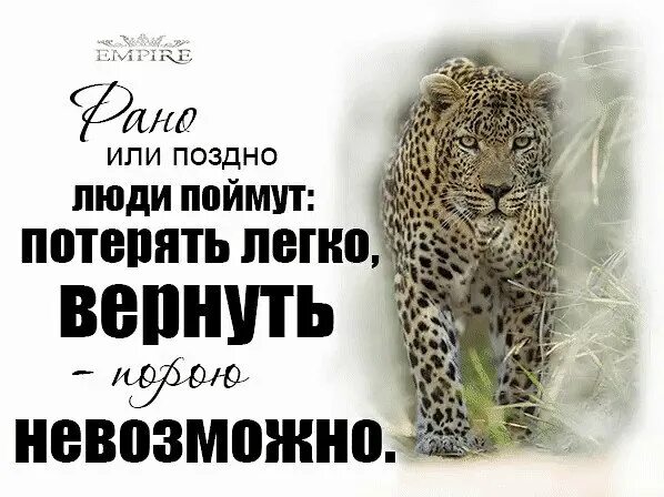 Доверие невозможно. Легко потерять. Как легко потерять. Потерять легко вернуть сложно. Рано или поздно люди поймут потерять.