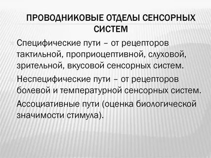 Сенсорные отделы