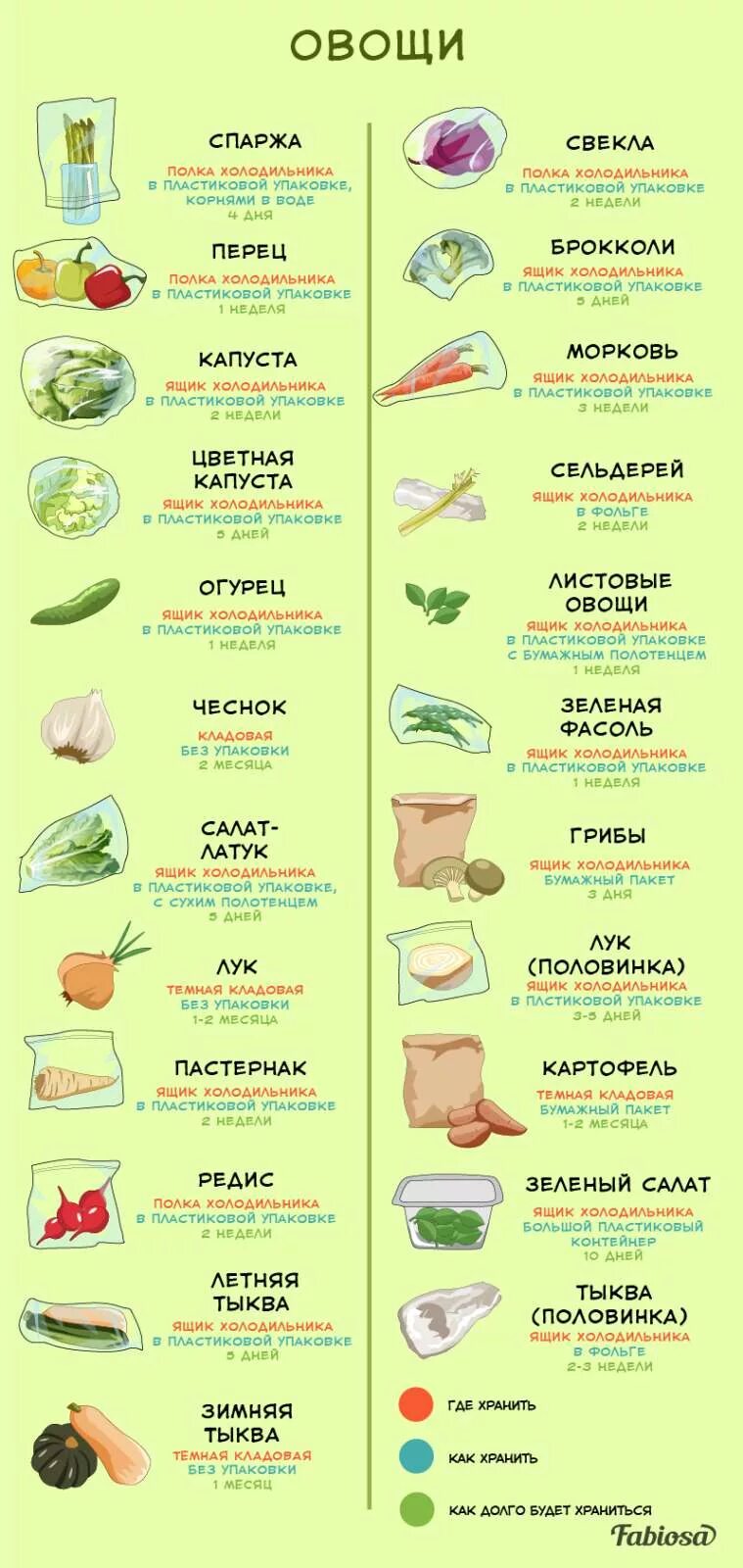 Сколько хранить вареную гречку. Срок хранения вареных овощей. срок хранения овощей в холодильнике. сколько хранятся отваренные овощи. срок хранения вареных продуктов в холодильнике.