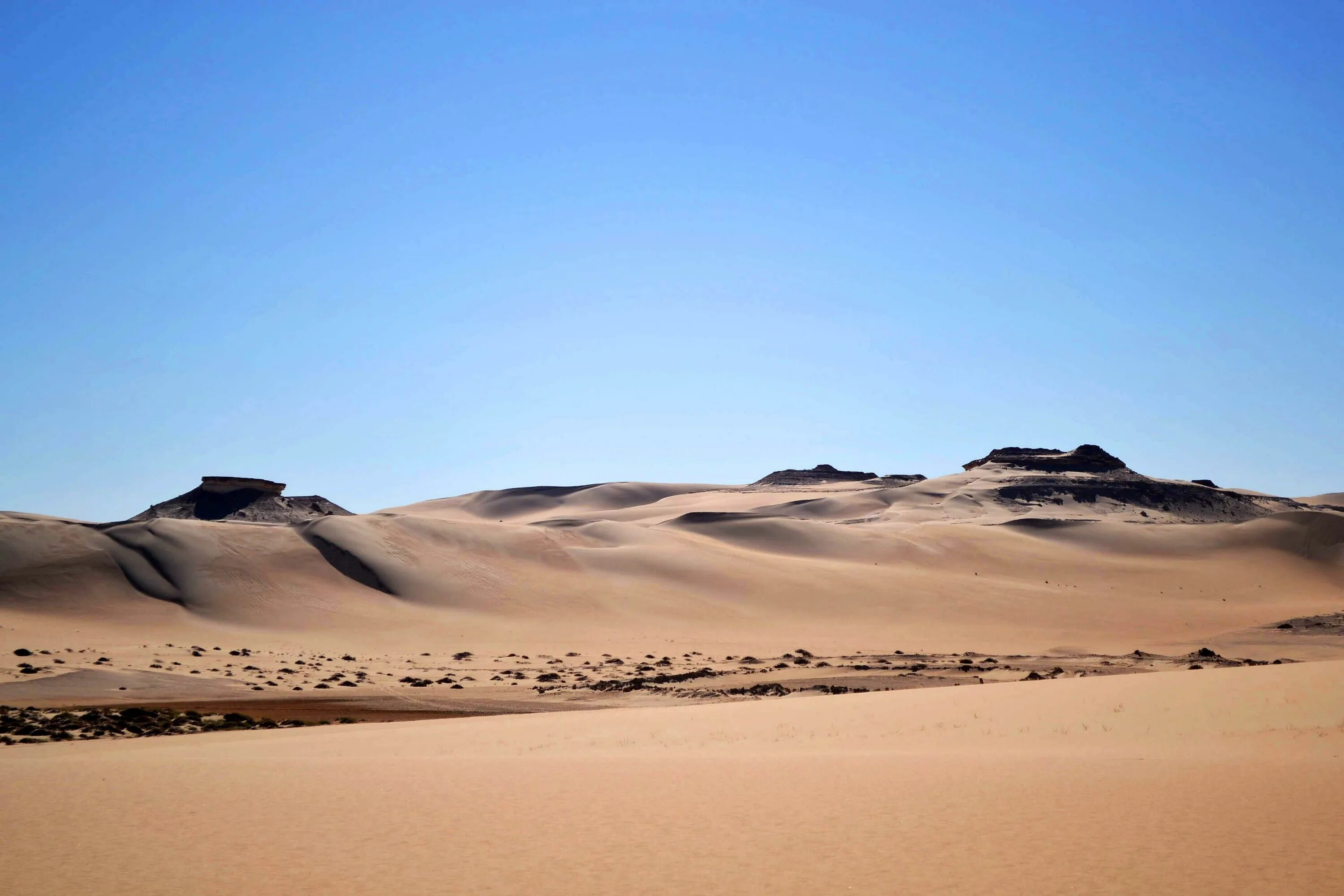 Сахара 2 жизни. Уральская пустыня Тайгинка. Алжир пустыня. Пустыня в Тайгинке фото. Западная сахара.