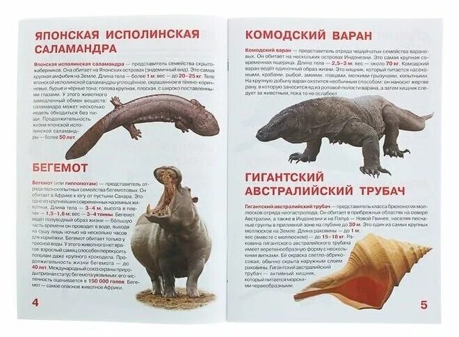энциклопедия самые большие животные умка. большая книга самые большие животные. энциклопедия развивающими заданиями самые большие животные умка. большая книга самые большие животные. энциклопедия умка африка.