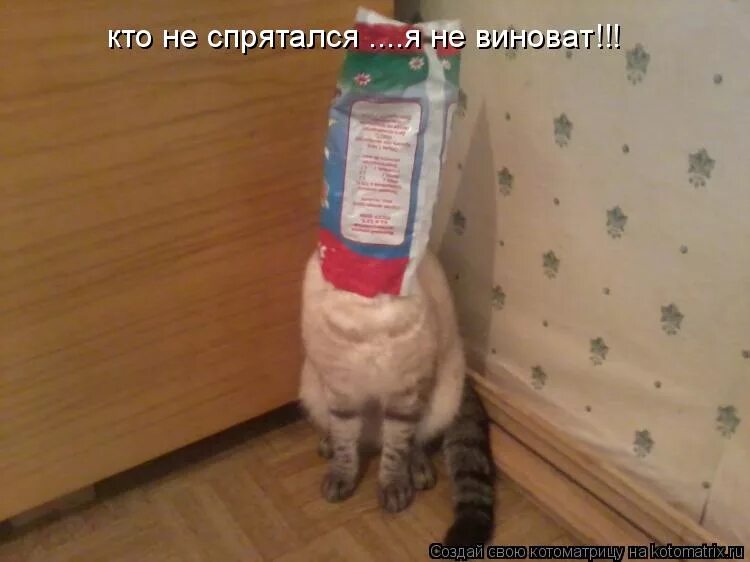 Меня нет я в домике. Я в домике спрятался. Ромашки спрятались ноты для баяна. Ребенок спрятался в шкафу. Я в домике прикол.