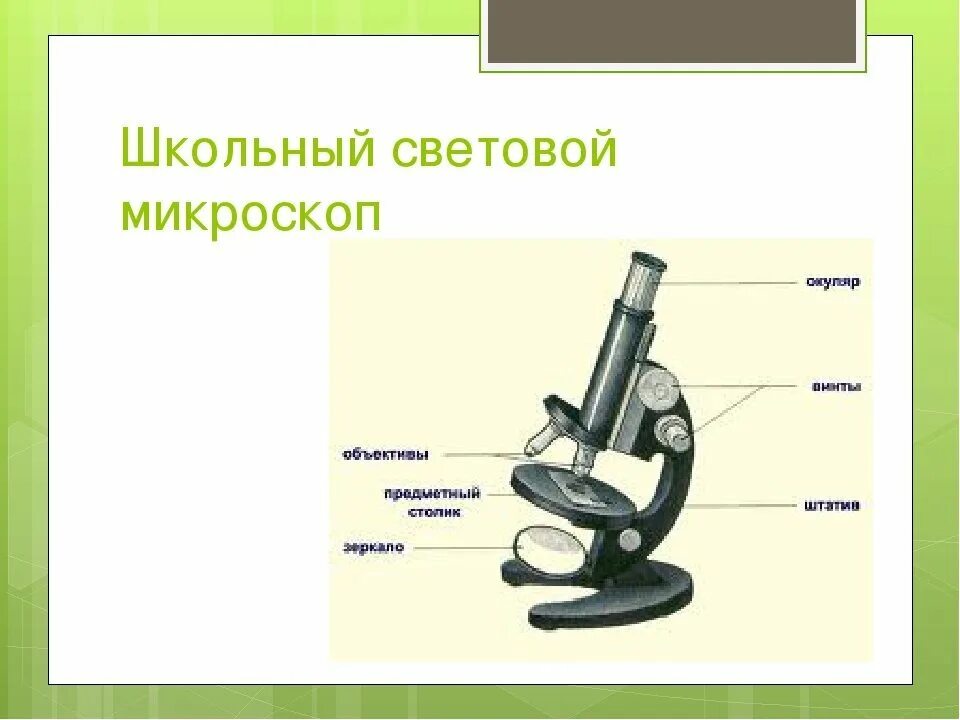 Микроскоп название частей биология 5 класс. Биология 5 кл строение микроскопа. Что такое микроскоп и строение микроскопа 5 класс биология. Строение микроскопа 5 класс биология световой микроскоп. Строение микроскопа 5 класс биология.