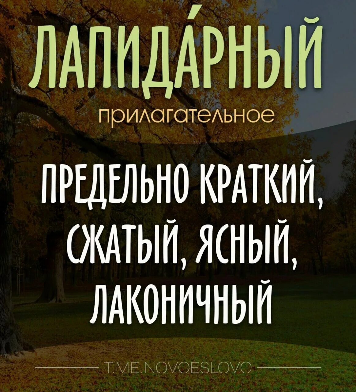 Лапидарный. Лапидарно значение. Лапидарный стиль. Слово лапидарность.