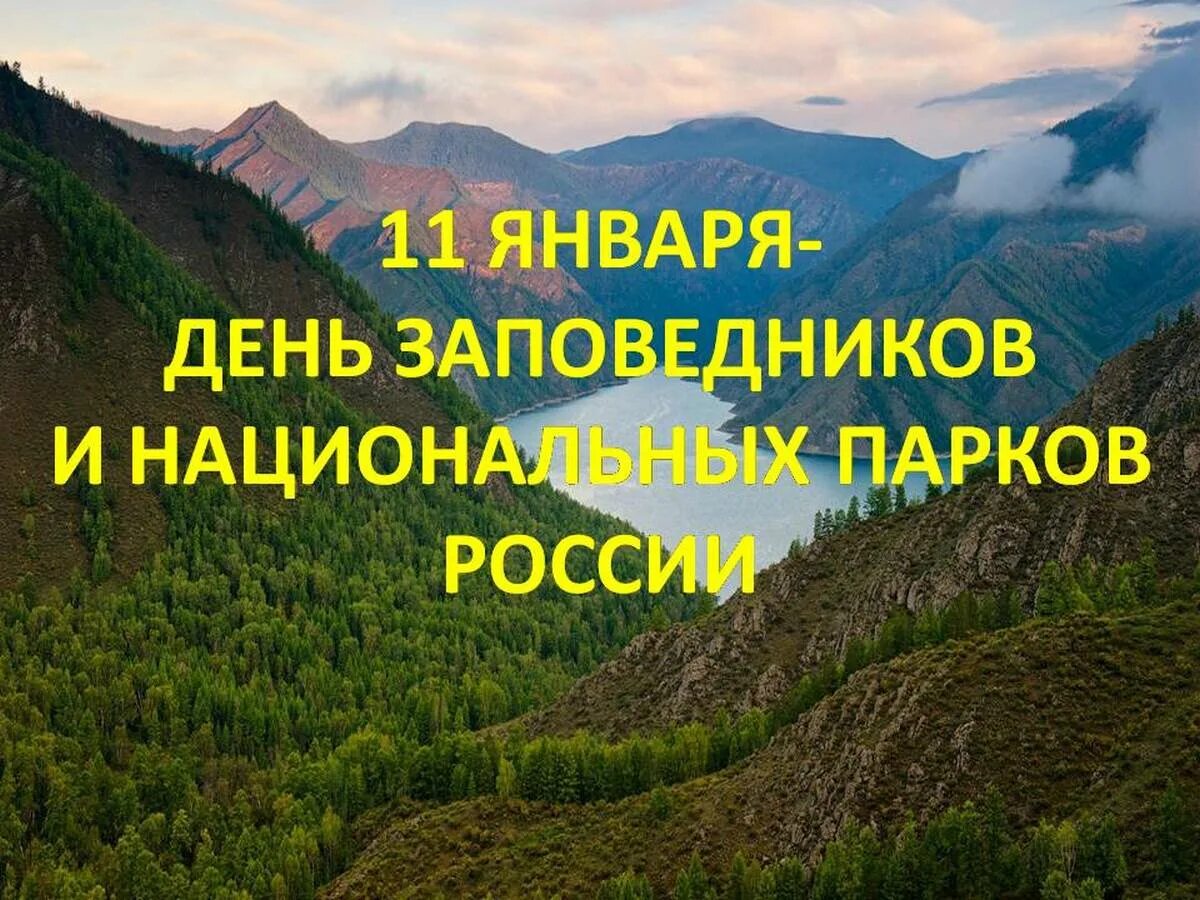 11 День заповедников и национальных парков. 11 Января день заповедников и нац.парков. 11 Января - день заповедников и парков России. День заповедников России 11 января. Почему важны заповедники и национальные парки