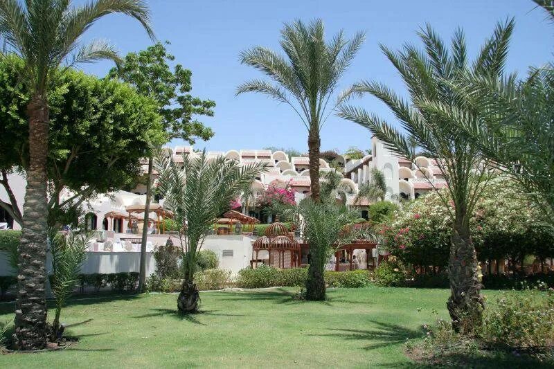 Movenpick sharm 4. Софитель египет шарм-эль-шейх. мовенпик резорт шарм-эль-шейх. movenpick resort sharm. movenpick resort sharm el sheikh 5 шарм-эль-шейх.