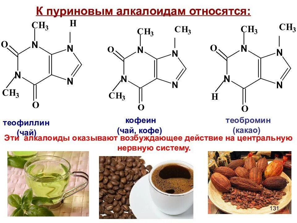 Алкалоиды пуринового ряда теобромин. Кофеин теофиллин теобромин. Пуриновые алкалоиды формула. Алкалоид пуринового ряда кофеин. Плод содержащий кофеин