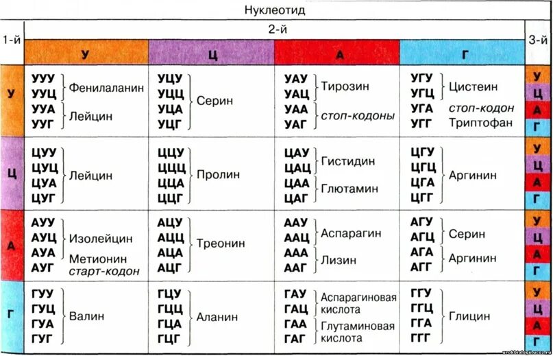 Варианты триплетов