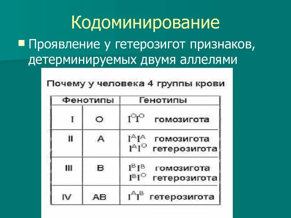 Какие пары гетерозиготных