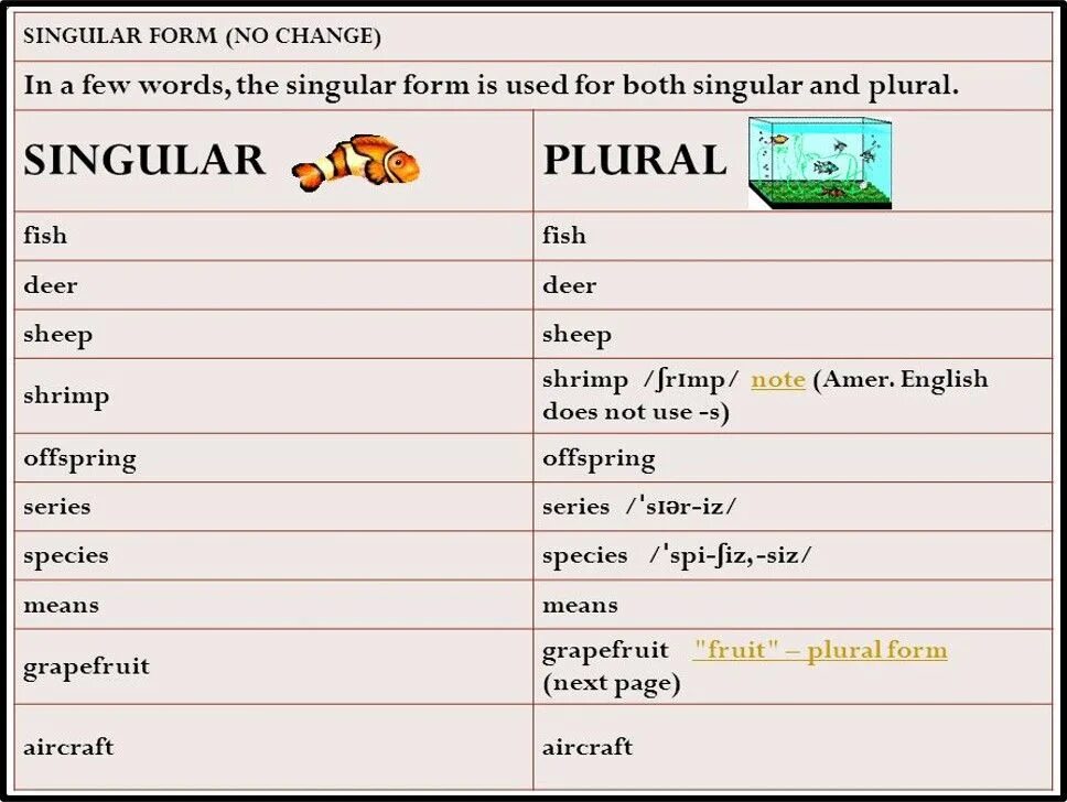 Write the plural form. Singular form. plural form and singular form. singular words. singular plural.