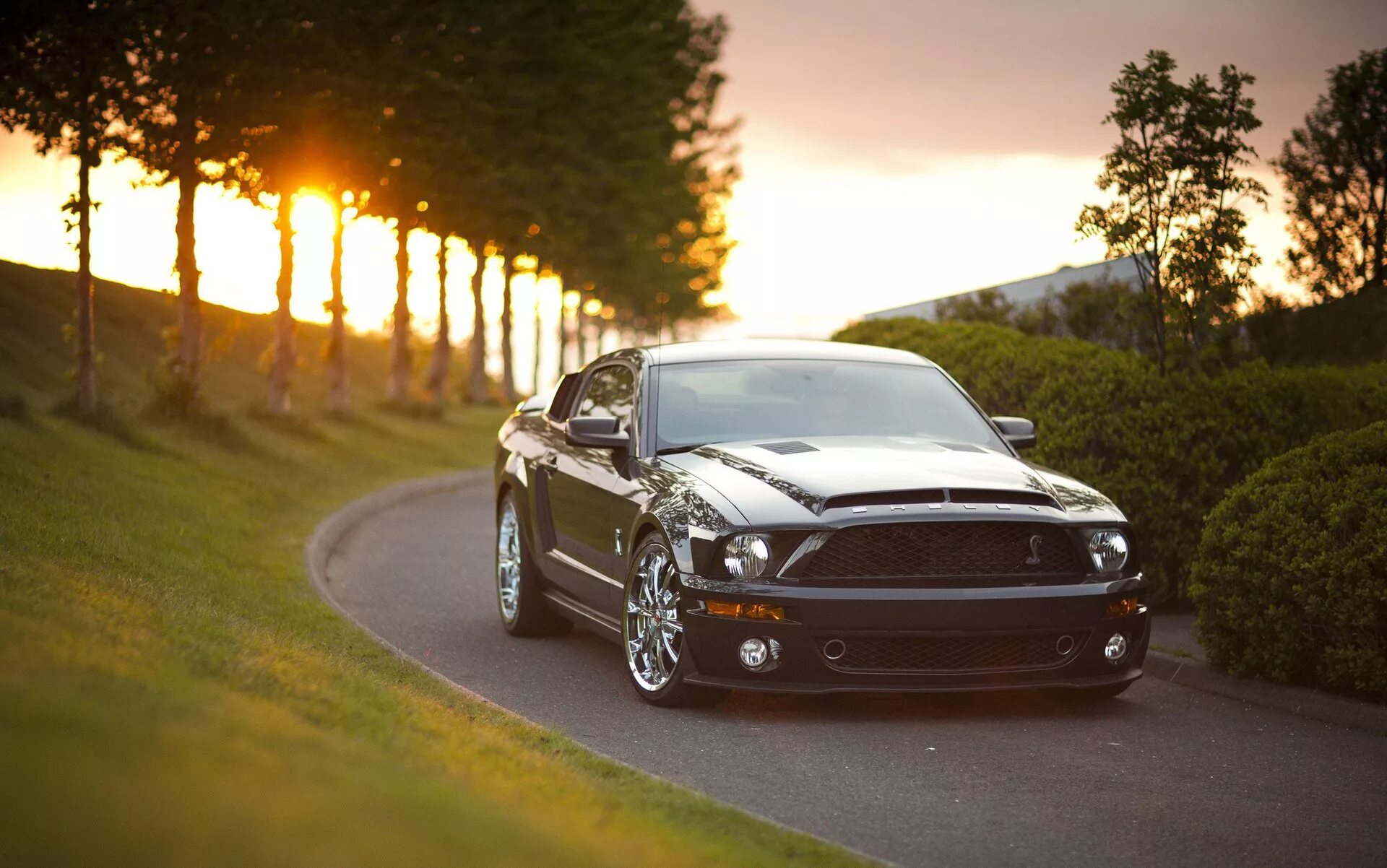 Фото на заставку телефона машины. Форд Мустанг. Форд Мустанг 240. Ford Mustang Shelby gt. Shelby gt500kr.