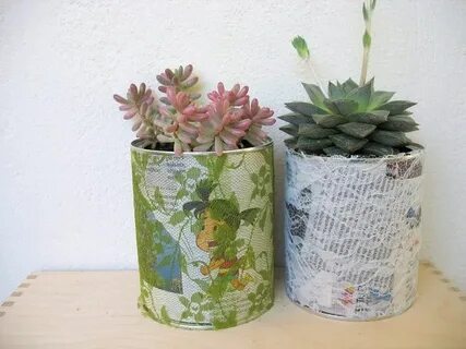 Plant flowers recycle cans collect