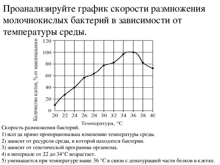 График скорости размножения бактерий. Скорость размножения бактерий зависит от. График зависимости в биологии. Влияние температуры на размножение бактерий. Изучите график зависимости выработки