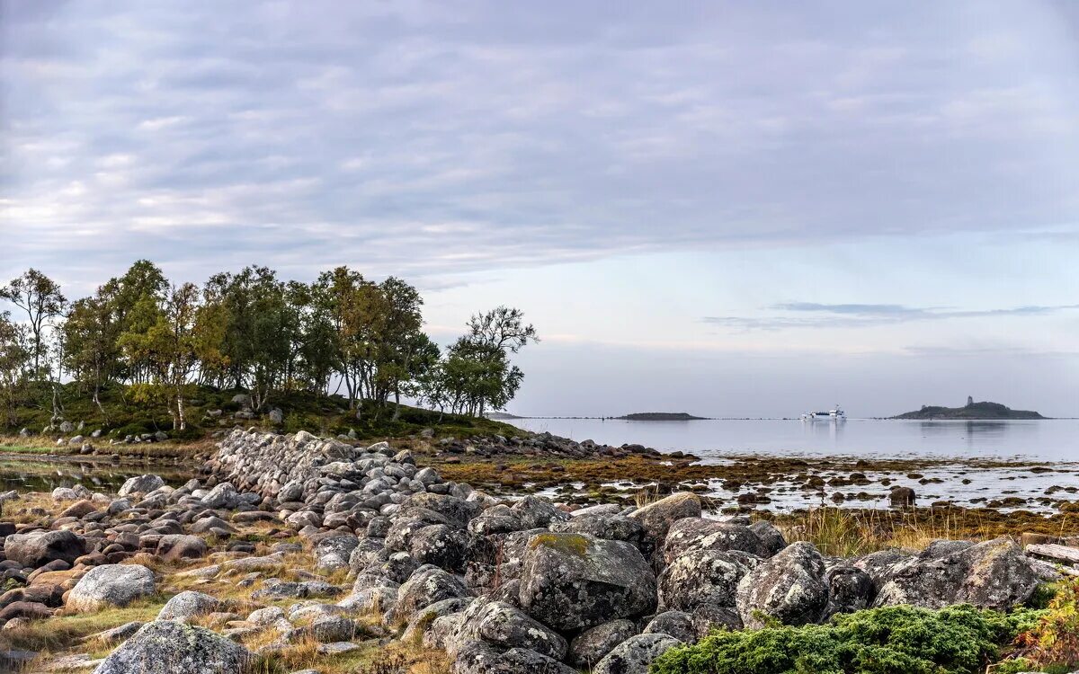 берег белого моря. архангельск берег белого моря. белое море михаил. летний берег белого моря фольклор. карелия архипелаг кузова зима.