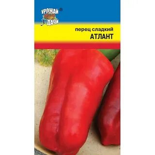 Перец атлант