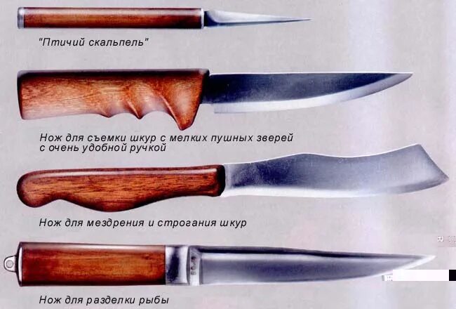 Названия охотничьих ножей. Формы ножей. формы ножей для охоты. формы рукоятей для ножей. рукоятки охотничьих ножей.