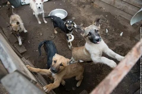 Когда отдаешь вещи в приют как называется