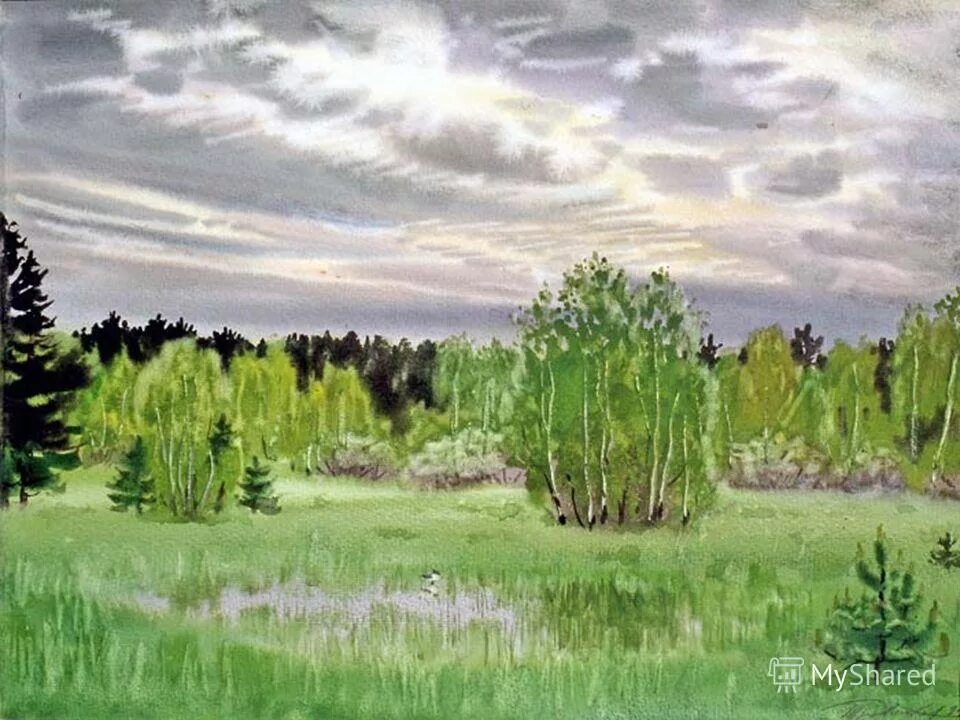 слепая елань кладовая солнца. блудово болото пришвин. м. слепая елань. пришвин кладовая солнца слепая елань.