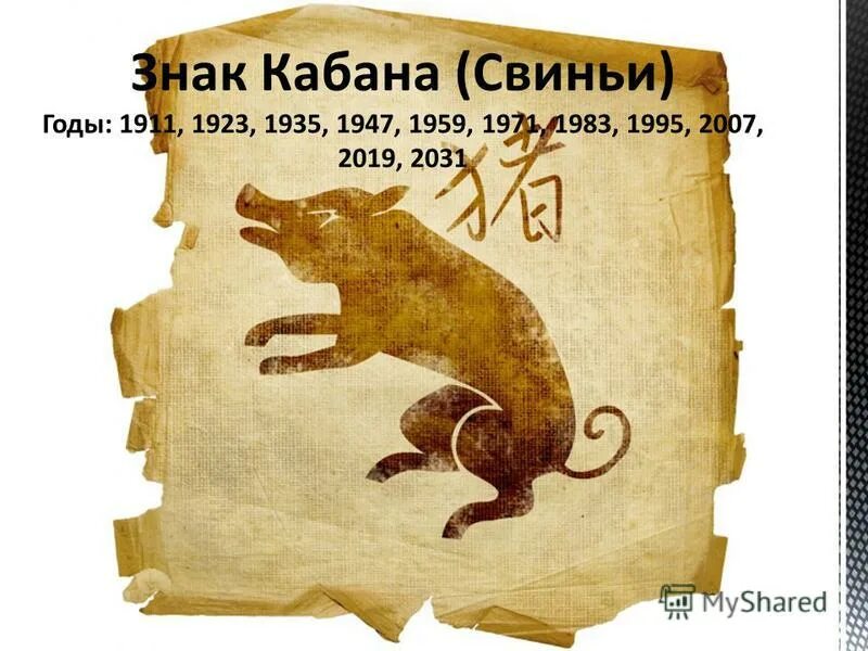 год дракона для рожденных в год крысы