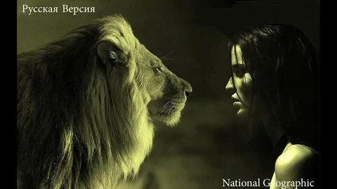 Усмирить зверя