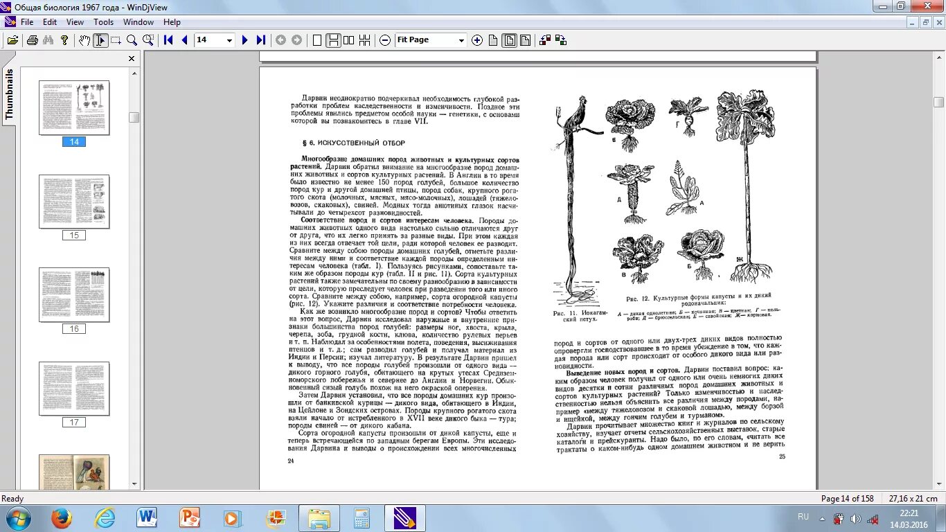 Морфологический критерий вида лисы. Сравнение искусственного и естественного отбора таблица 11 класс. Адаптация организмов лабораторная работа вывод. Лабораторная работа 9 класс изучение изменчивости критерии. Лабораторная работа изучение результатов искусственного отбора.